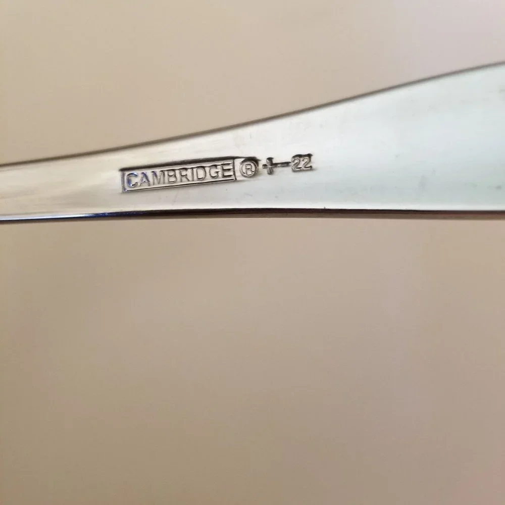 23 Pc Cambridge Flatware‎ Lot Stainless Steel Gift + - 22